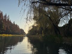 -尚贤河湿地