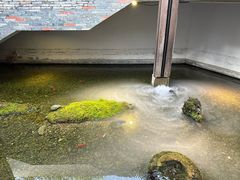 -几荷·恰似故人来(秀水广场店)