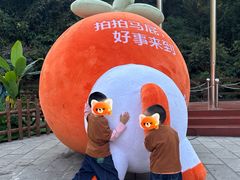 -西双版纳原始森林公园
