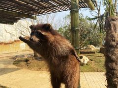 -南京金牛湖风景区