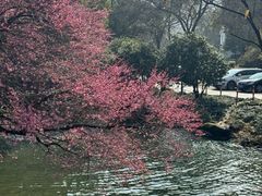 -中国茶叶博物馆(双峰馆区)
