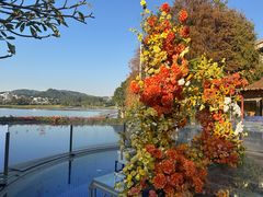 -白云湖畔酒店-湖畔餐厅