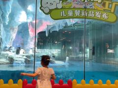 -帝企鹅自助餐厅•儿童岛•真企鹅(长隆企鹅酒店)