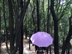 -火炉山森林公园