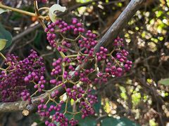 -东南悬空寺方广岩