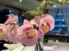 -大蓉和(一品天下店)