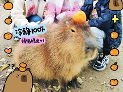 -广州长隆野生动物世界