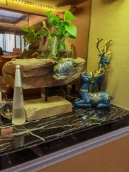 -ROYEA茹彦祛痘·问题肌肤修护中心