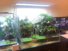 -聚缘堂·海鲜私房菜(松岭路店)