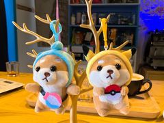 -喜柴咖啡·柴犬狗咖