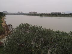 -鹤之洲湿地公园