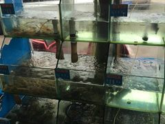 -海尚韵舍海景餐厅(朱家尖店)