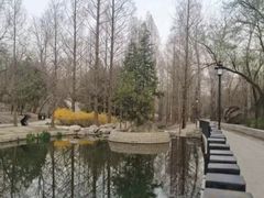 -白水寺森林公园