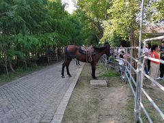 -上海海湾国家森林公园