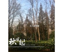 -合肥滨湖国家森林公园