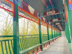 -北京市海淀外国语实验学校