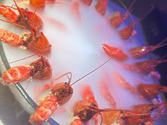 -红盔甲·小龙虾(定西路店)