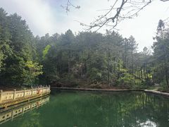 -四明山国家森林公园