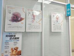 -全心全意连锁动物医院·微创中心·内科急重症·心脏专科(丰管路店)