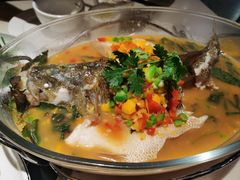 -石头咕(黄岐店)