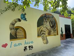 -青藏高原野生动物园