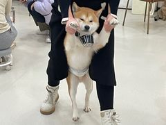 -共舞时光猫咖·狗咖(新街口店)