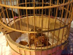 -胡桃里音乐酒馆(环亚凯瑟琳广场店)