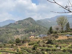 -杨家堂村