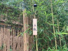 -天水蔬食料理(树德之光店)