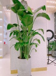 -3AM·S HAIR SALON烫发染发接发