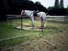 71242a4egw1ewpg3vq7duj20ez0qo411-太阳岛度假酒店