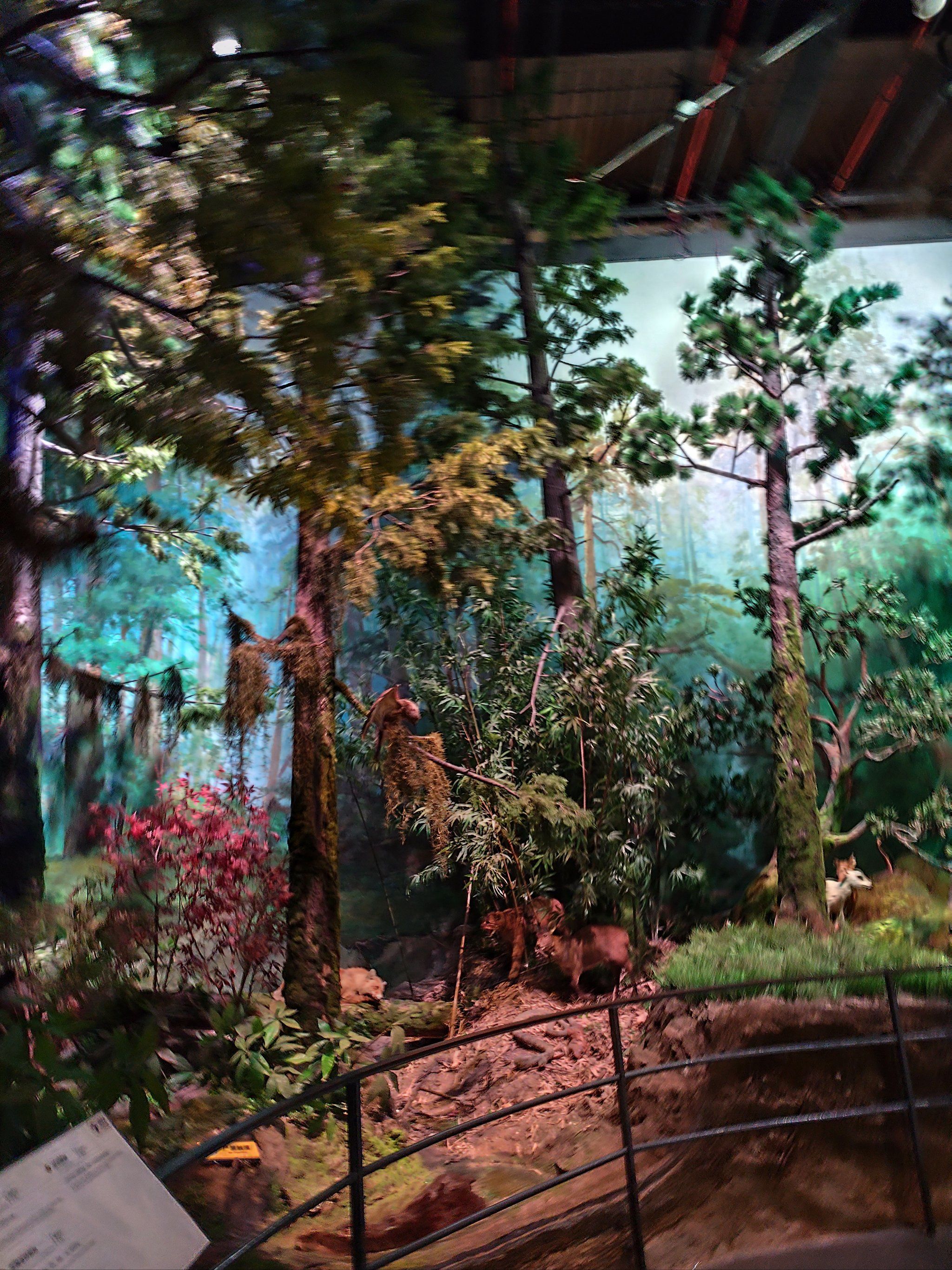 期待过高完全失望的自然博物馆