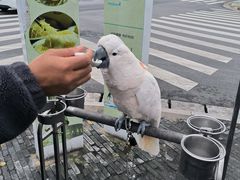 -四海楼(如皋定慧禅寺店)