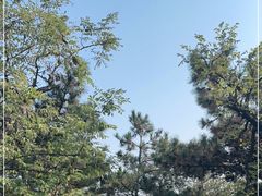 -香山公园