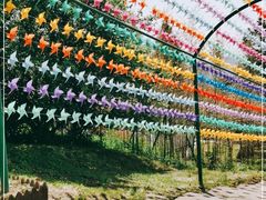 -藏龙百瀑风景区