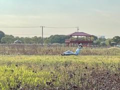 -嘉北郊野公园