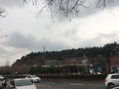 -肯德基(孝陵卫地铁站店)