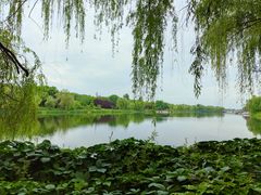 -汉长安城未央宫国家考古遗址公园