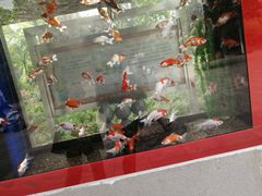 -辛玛王国游乐园