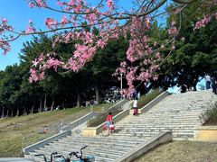 -风云岭森林公园