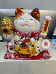 -痘敏医生专业祛痘连锁