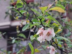 -富源春面馆(四川北路店)