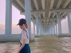 -宝安西湾红树林湿地公园