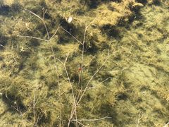 -碓臼峪自然风景区