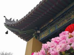 -普陀山风景名胜区-法雨禅寺