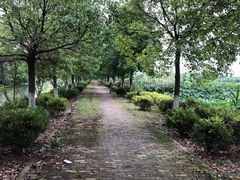 -东康桂家农庄
