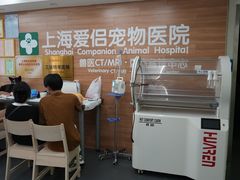 -爱侣宠医·鹦鹉专科·小型哺乳类·异宠专科(灵石路店)