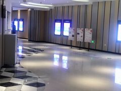 -百丽宫影城(CGS激光苏宁广场店)