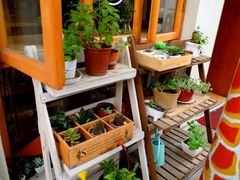 -长颈鹿咖啡(大学路店)