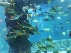 -海合安青岛极地海洋公园
